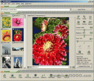 PhotoMeister screenshot